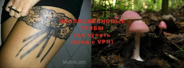 ГАЛЛЮЦИНОГЕННЫЕ ГРИБЫ Великий Новгород