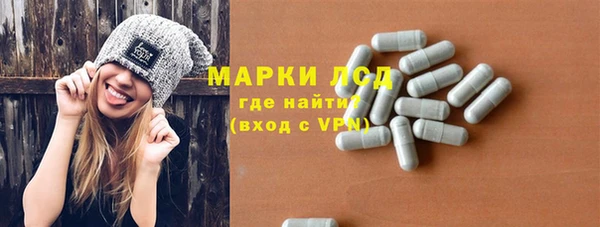 крисы Магадан