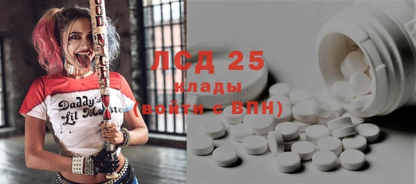 крисы Магадан