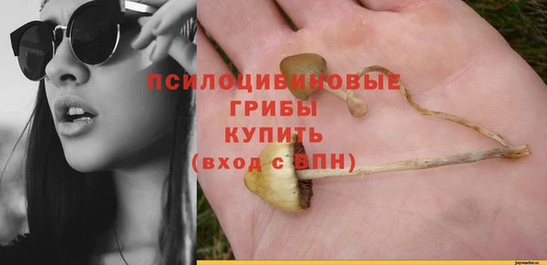 крисы Магадан