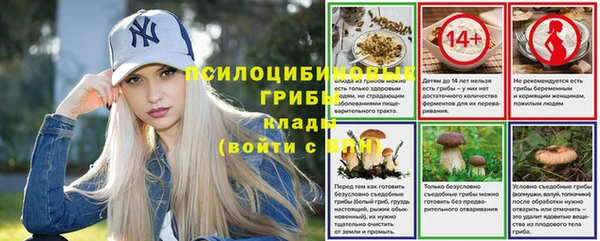 ГАЛЛЮЦИНОГЕННЫЕ ГРИБЫ Майский