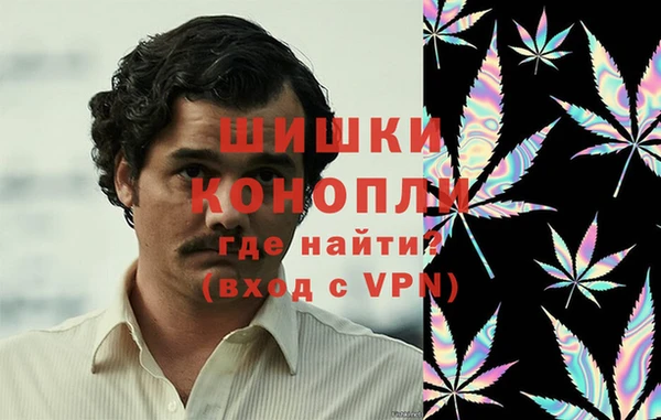 ГАЛЛЮЦИНОГЕННЫЕ ГРИБЫ Майский