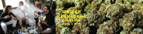 ГАЛЛЮЦИНОГЕННЫЕ ГРИБЫ Майский