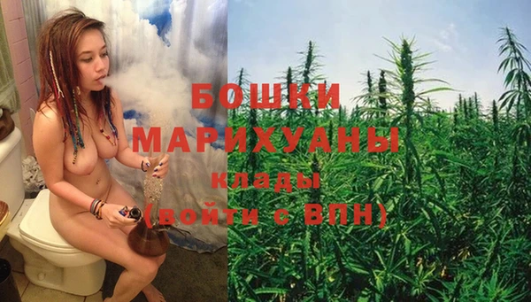 крисы Магадан