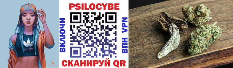 mega вход  купить  цена  Барнаул  Галлюциногенные грибы мицелий 