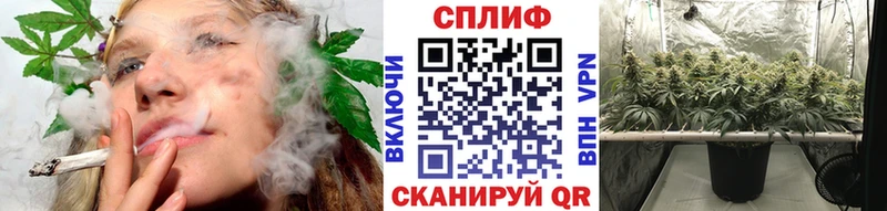Марихуана конопля  hydra ССЫЛКА  Барнаул  закладки 