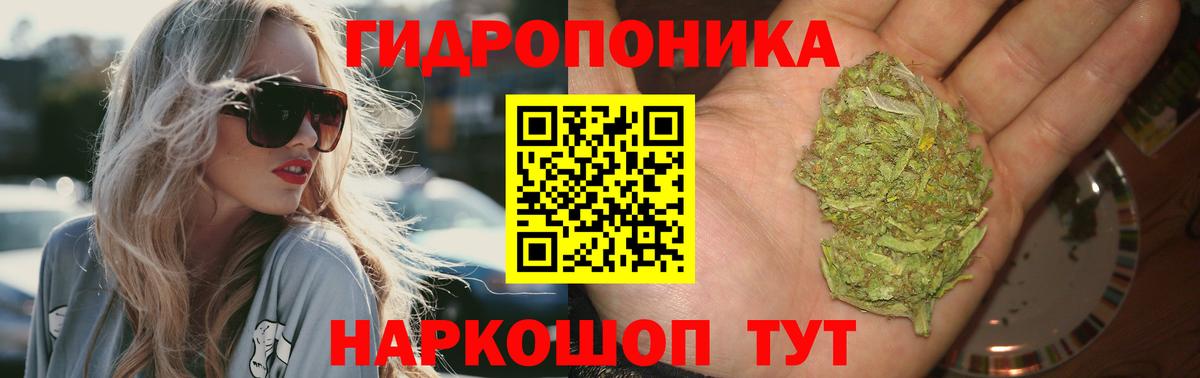 Марихуана OG Kush Барнаул